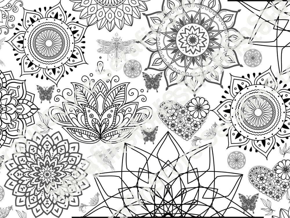 Large Mandala Coloring Banner