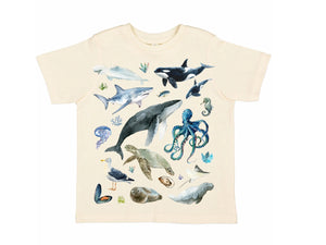 Orca Whale Octopus Turtle Ocean Conservation