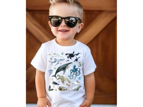 Orca Whale Octopus Turtle Ocean Conservation
