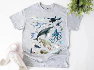 Orca Whale Octopus Turtle Ocean Conservation