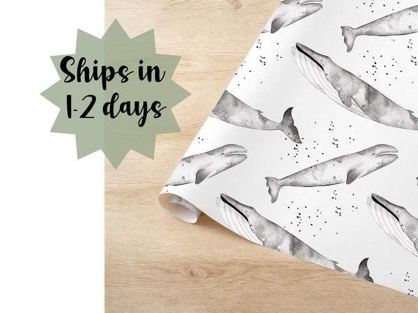 Whale Cream Grey Pattern Gift Wrapping Paper Birthday Paper Wrap Nautical Theme Present Gift Wrap Baby Shower First Birthday Blue Killer Wha