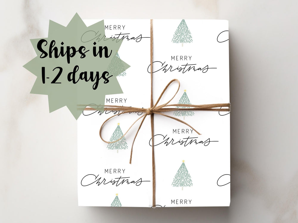 Whimsical Christmas Wrapping Paper Elegant Co-Worker Gift Wrap Neighbor Merry Christmas Cute White Minimalist Gift Wrap idea White Elephant