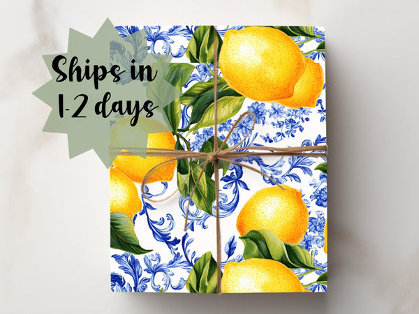 Toile Elegant Gift Wrapping Paper