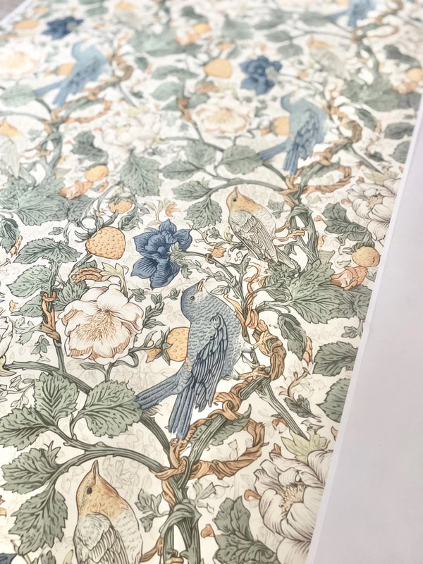 Whimsical Fruit Pattern Bird Wrapping Paper