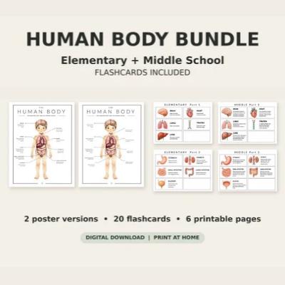 Human Body Anatomy Printable Bundle and Organ Flashcards
